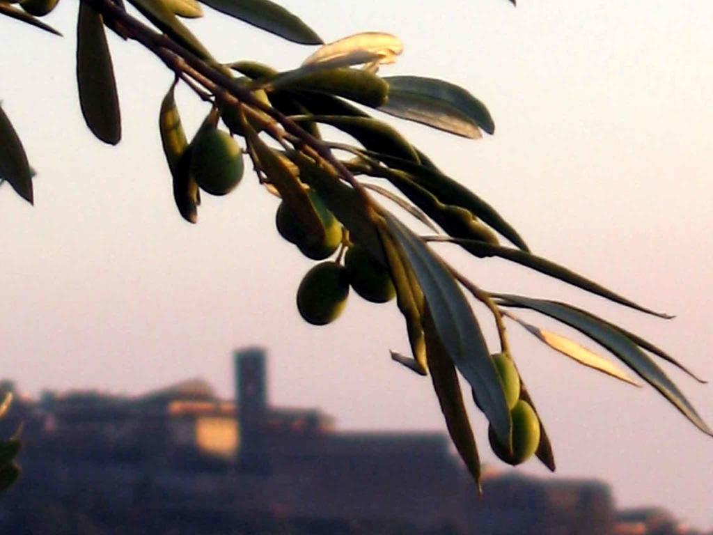 Locanda San Martino A Bocena 哥尔顿 外观 照片